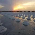 אמפאווה - בריכות המלח 4