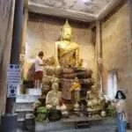 אמפאווה- המקדש החבוק בעץ 3