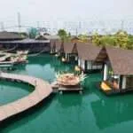 אמפאווה - מסעדות יחודיות 5