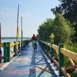 אמפאווה - רכיבה אל הים 2