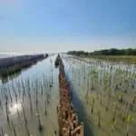 אמפאווה - רכיבה אל הים 4