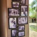 לודג' ושמורה - אדווין - מייסד העמותה (3)