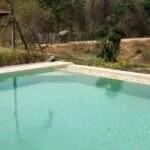 לודג' ושמורה לשיקום חיות בר - המלון 11