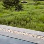 לודג' ושמורה לשיקום חיות בר - המלון 9