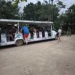 לודג' ושמורה - סיור בוקר - קופים