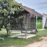 לודג' ושמורה - סיור סיור אחה''צ - הגורילה (3)