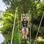 סאי יוק - אומגות