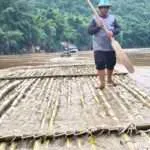 סאי יוק - במבו רפטינג (2)