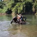 סאי יוק - חוויית הפילים (3)