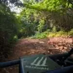 סאי יוק - טיול באגי (4)