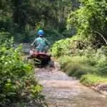 סאי יוק - טרקטורונים (2)