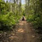 סאי יוק - טרקטורונים (5)