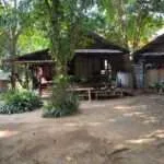 סאי יוק - שבט המון (7)