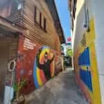 פטבורי - בית המעריץ המתייסר (5)