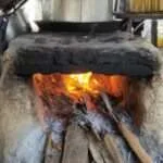 פטבורי - חוות מטעי וחקלאות עצי הדקל (4)