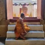 פטבורי - מקדש העץ (2)