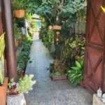 פטבורי - סיור בעיר העתיקה (3)