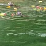 קנגקארצ'אנג - שייט על האגם למקדש הנסתר (2)