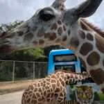 קנצ'אנבורי וסאי יוק (5)