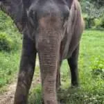 קנצ'אנבורי וסאי יוק (6)