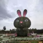 קנצ'אנבורי - חוות המייפל (2)