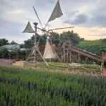 קנצ'אנבורי - חוות המייפל (8)