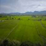 קנצ'אנבורי - תצפית ומקדש מערת הנמר (7)