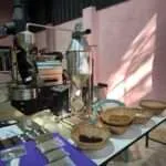 קנצ'אנבורי - תרבות הקפה (3)