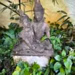 קנצ'אנבורי - תרבות הקפה (7)