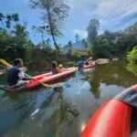 אגם ציאולאן ויער הגשם קאו סוק - כללי (3)