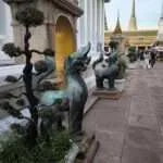 בנגקוק - הבודהה השוכב (6)