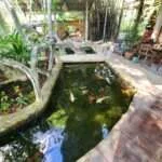 בנגקוק - טיול בריאה הירוקה (10)