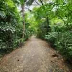 בנגקוק - טיול בריאה הירוקה (4)