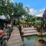 בנגקוק - טיול בריאה הירוקה (8)