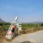 הואה הין - טוסקנה (4)