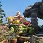 הואה הין - מקדש קאו טאו וחוף בתולות הים