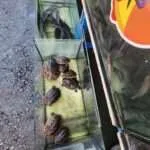 הואה הין - פארק המלכים ואגם קאו טאו (5)