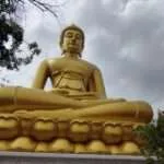 טיול אופניים - טאלאת פלו (7)