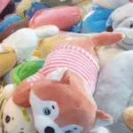 נאקון נאיוק - שוק מציאות (3)