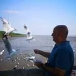 סאמוט פראקאן - חוף השחפים (6)