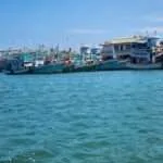 פראנבורי - יער הנגרובים ומאכלי ים (5)