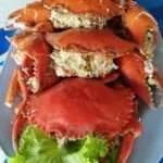 פראנבורי - יער הנגרובים ומאכלי ים (7)