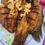 פראצ'ואפ קירי קאן ומפרץ הלימון (7)