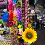 צ'איינה טאון - שוק סאמפנג (6)