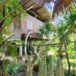 ציאולאן - התחברות לטבע ולחיי המקומיים (6)