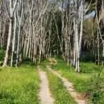 ציאולאן - התחברות לטבע ולחיי המקומיים (9)