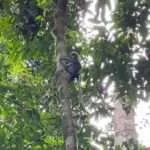 ציאולאן - מערות נטיפים (1)