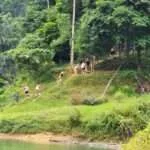 ציאולאן - מערות נטיפים (2)