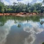 ציאולאן - שייט ברפסודת במבוק (3)