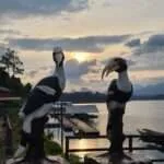 ציאולאן - שקיעות מרהיבות